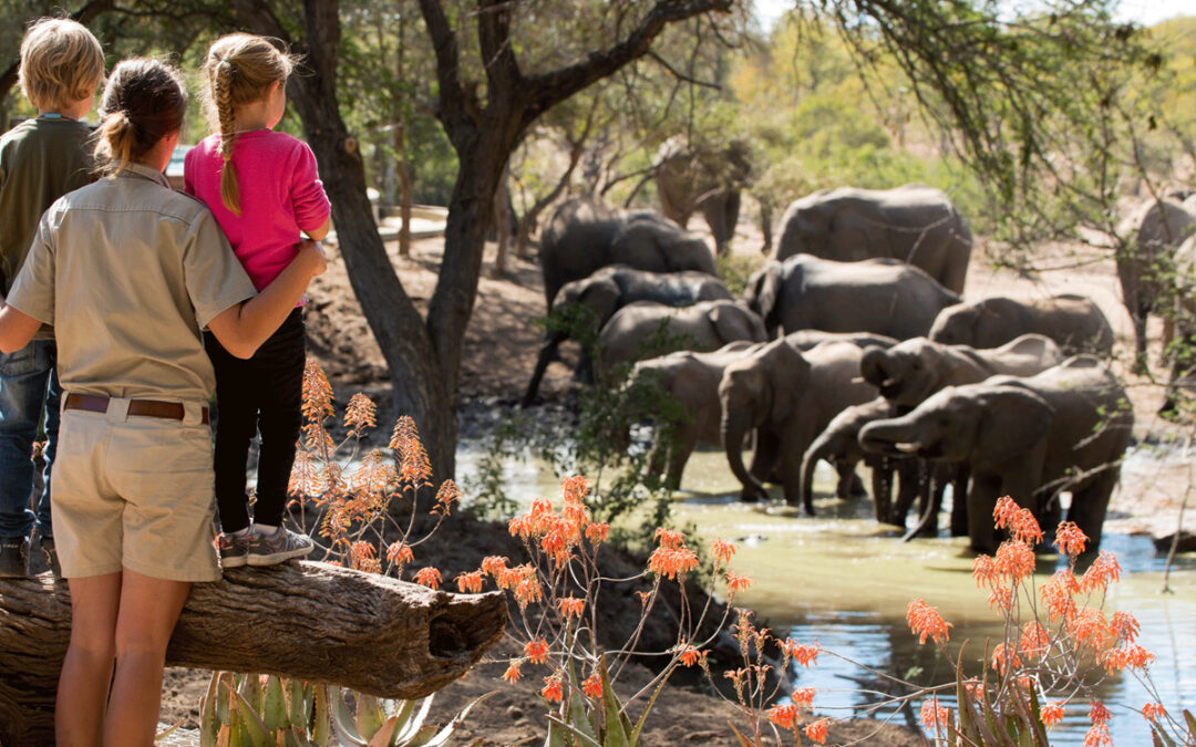 Family-Friendly Safaris: Tanzania's Best Options for 2025