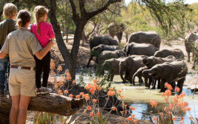 Family-Friendly Safaris: Tanzania’s Best Options for 2025