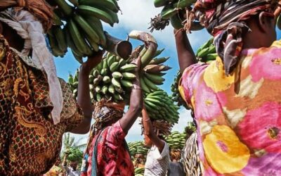 Chagga Culture: The Heart Of Kilimanjaro