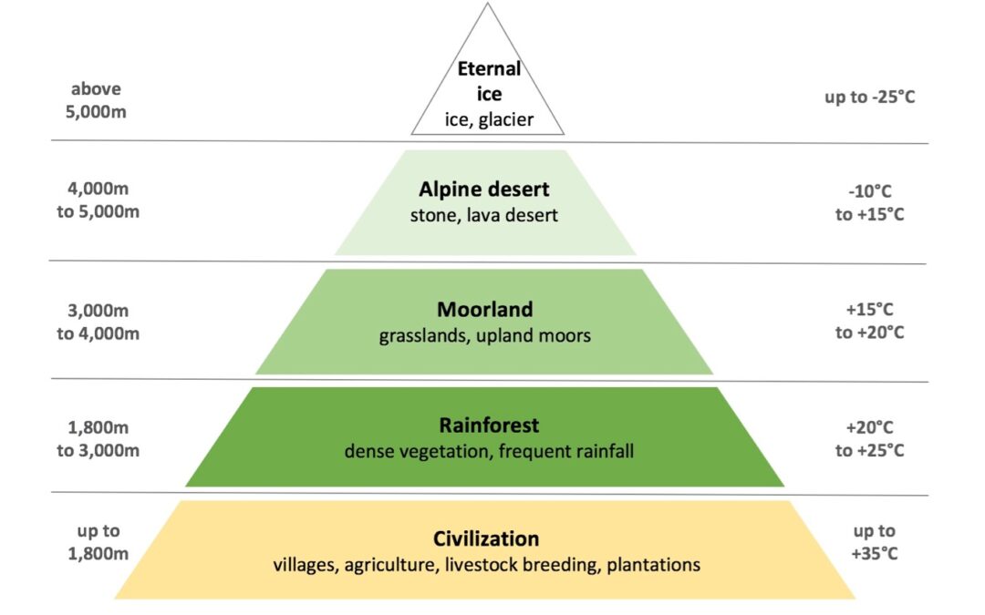 Vegetation Zones On Kilimanjaro: A Unique Ecosystem